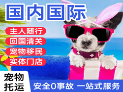 泉州空运公司国际宠物托运 【国